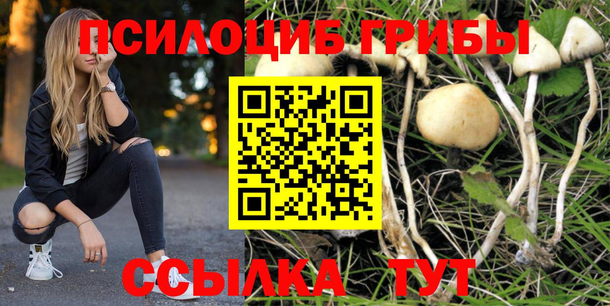 Тайшет  Галлюциногенные грибы мицелий  Вход с VPN 