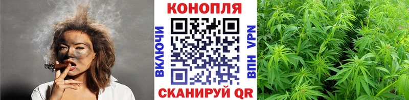 OMG ссылка  Тайшет  Марихуана Amnesia 